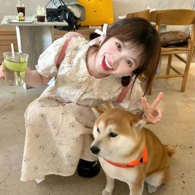 我的老婆是只猫
